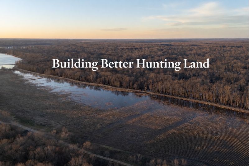 Building Better Hunting Land