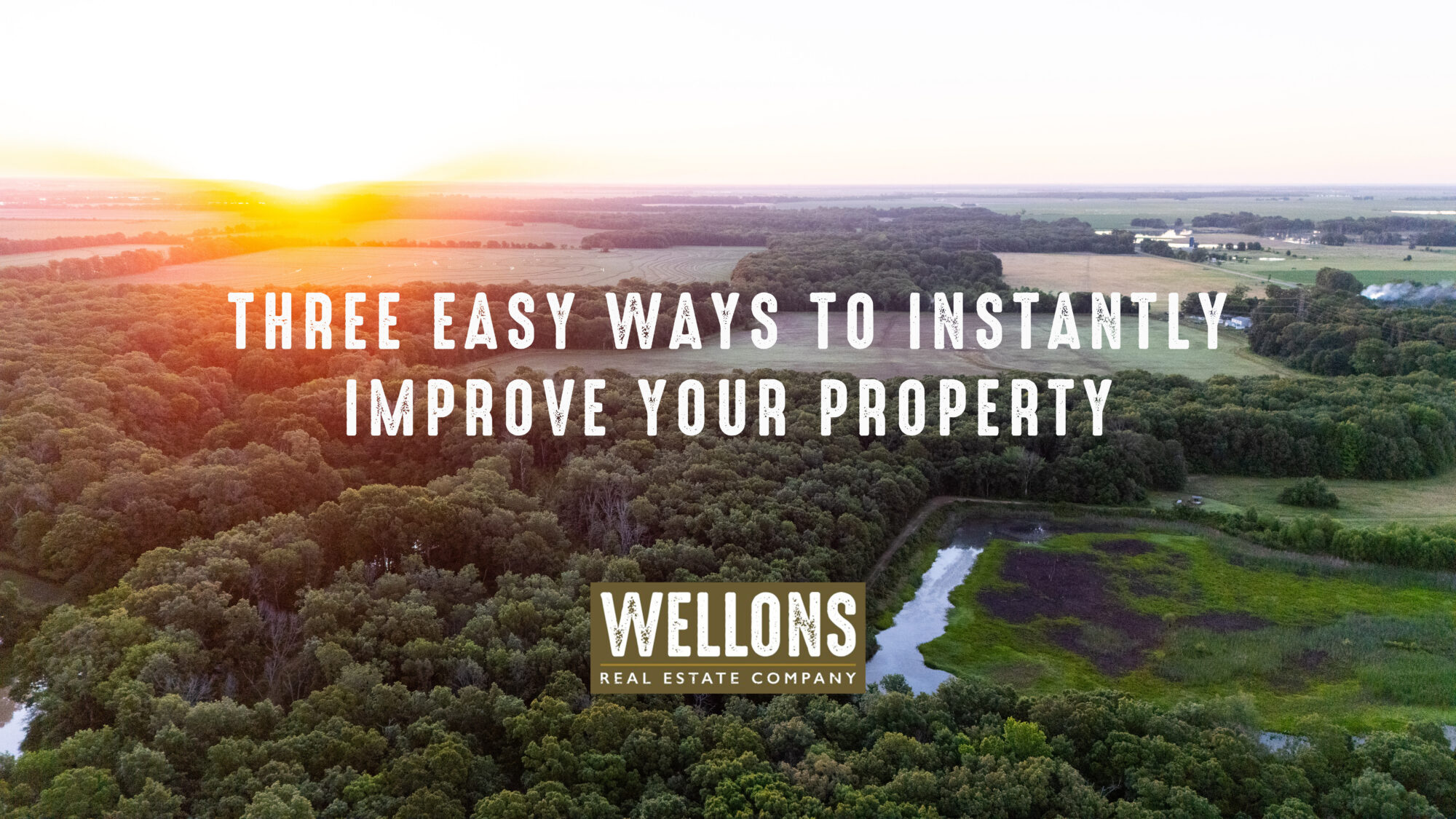 Three Easy Ways to Instantly Improve Your Property This Season