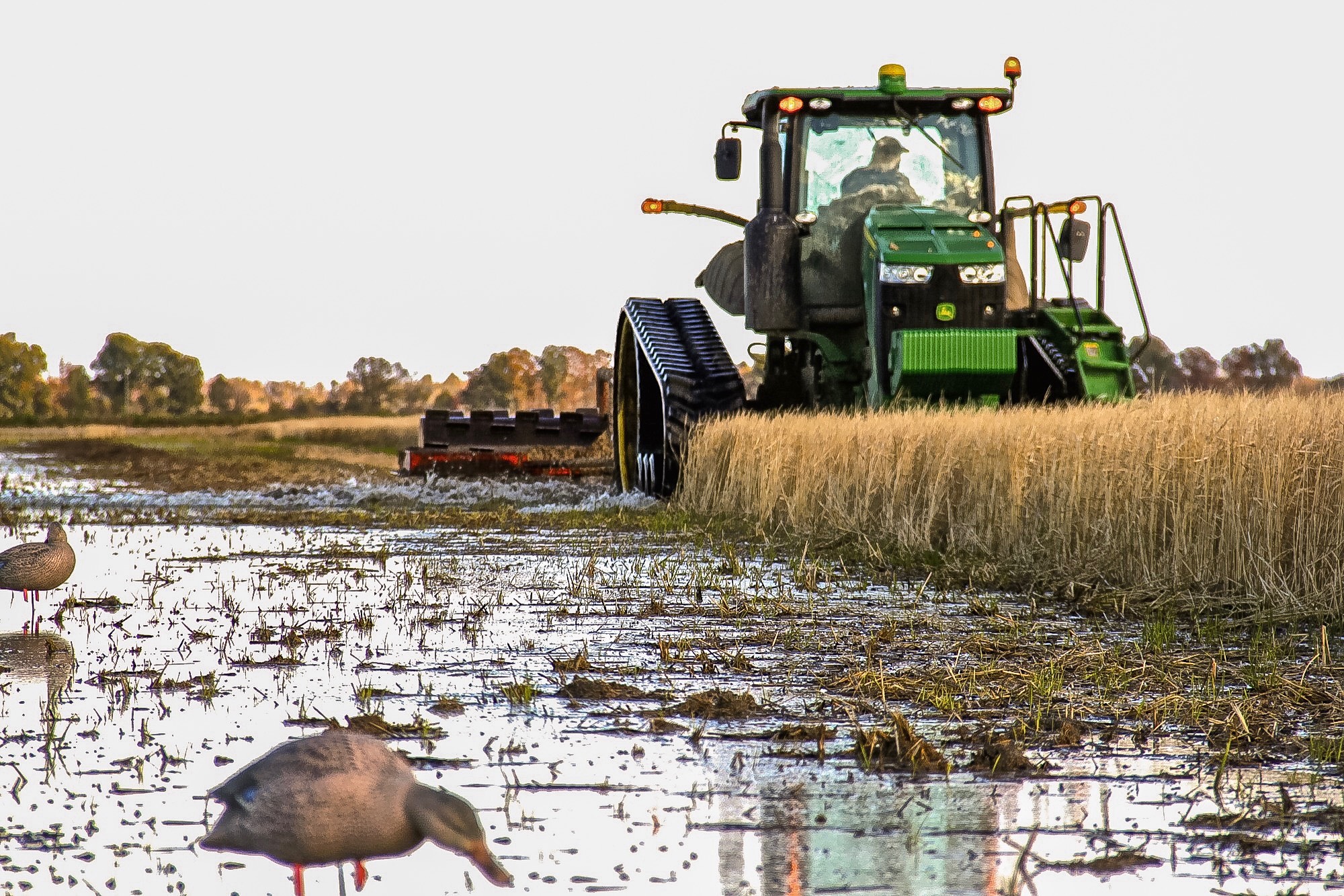 Land Investments Holdings Wellons Land