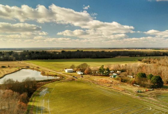 Wellons Land Active Listings The Lawson Trotter Farm 1