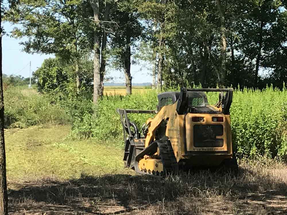 Wellons Land Recent Projects Live Oaks Photo of Tractor Working in Tractor