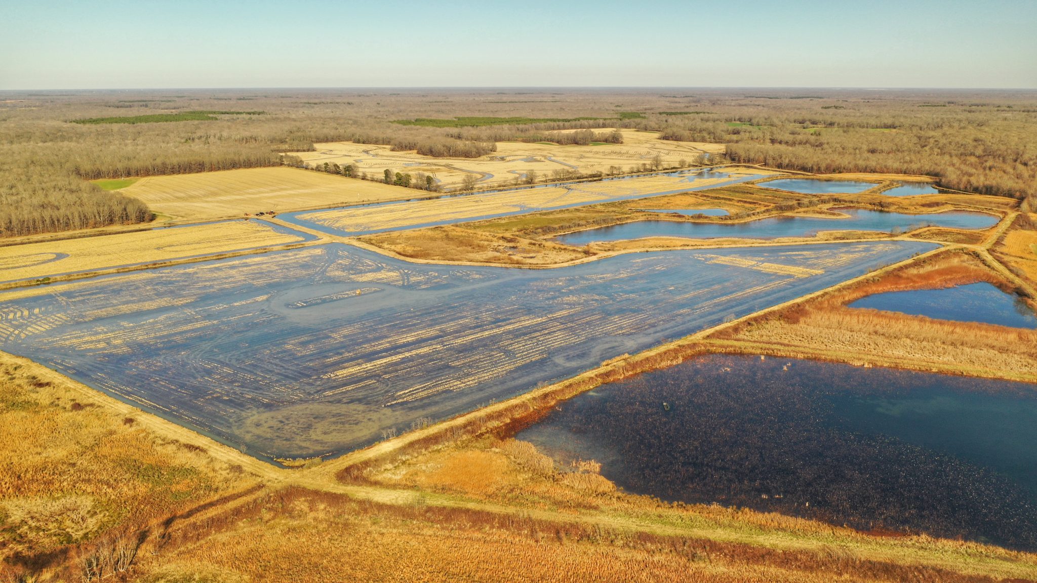 Honey Creek Farm Wellons Land