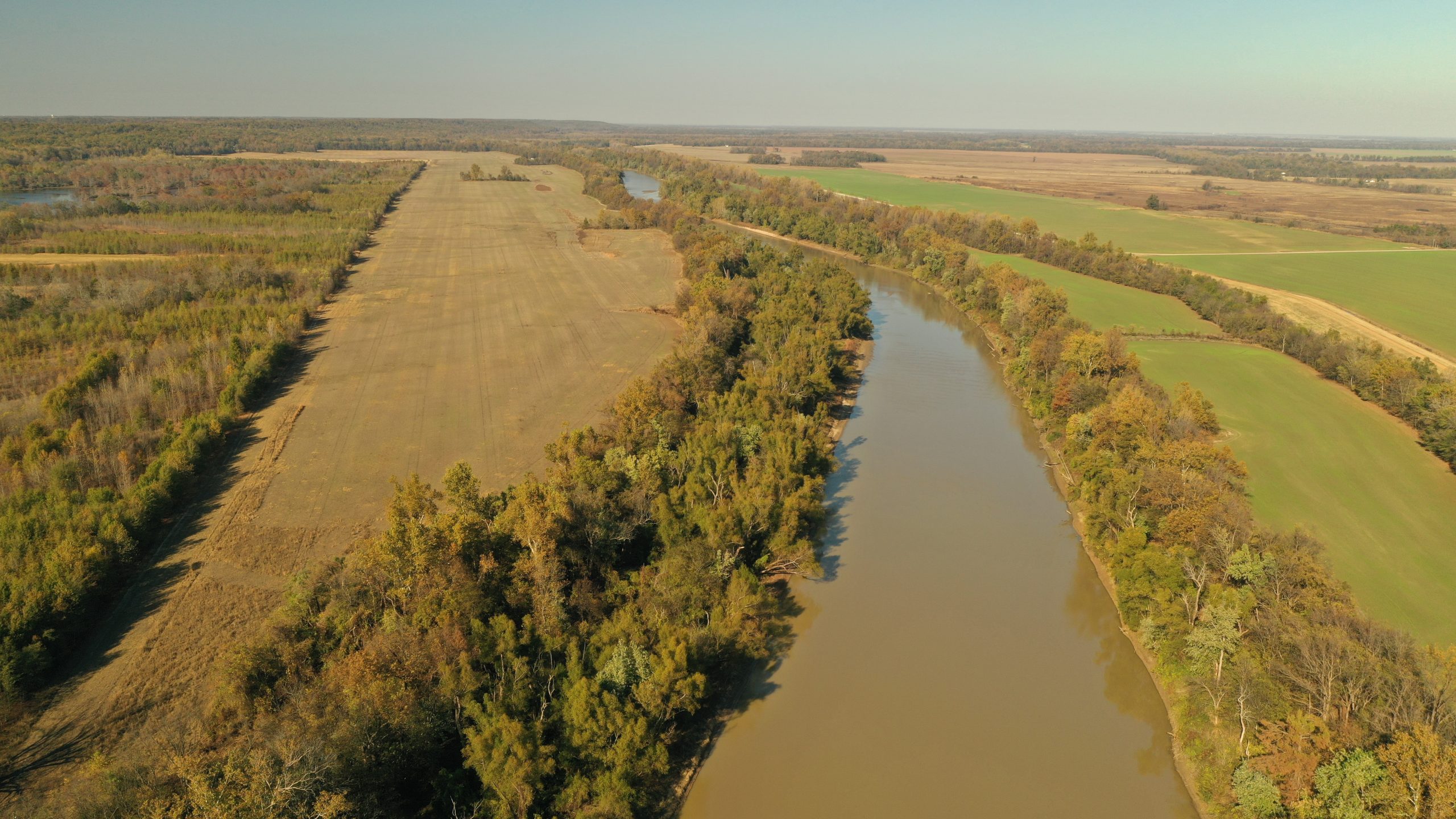 St Francis 100 Wellons Land