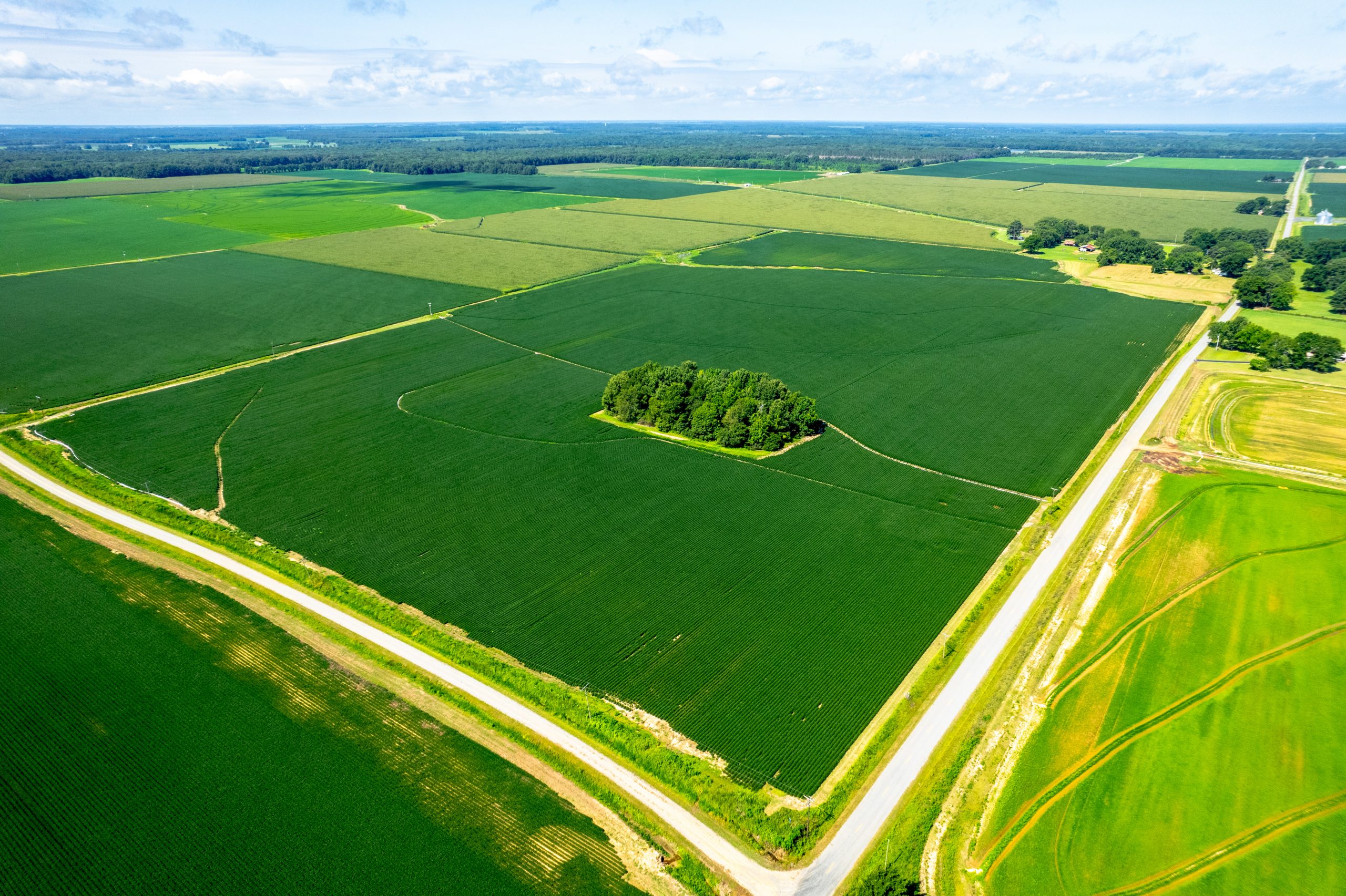 Des Arc 90 Wellons Land