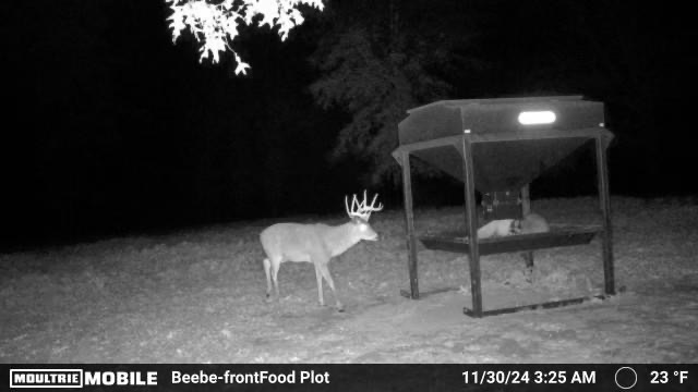 MOULTRIE DIGITAL CAMERA