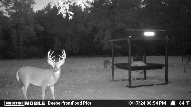 MOULTRIE DIGITAL CAMERA