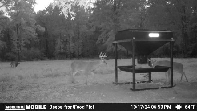 MOULTRIE DIGITAL CAMERA