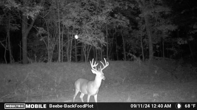 MOULTRIE DIGITAL CAMERA