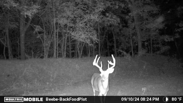 MOULTRIE DIGITAL CAMERA