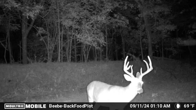 MOULTRIE DIGITAL CAMERA
