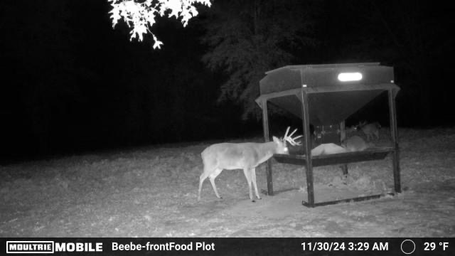 MOULTRIE DIGITAL CAMERA