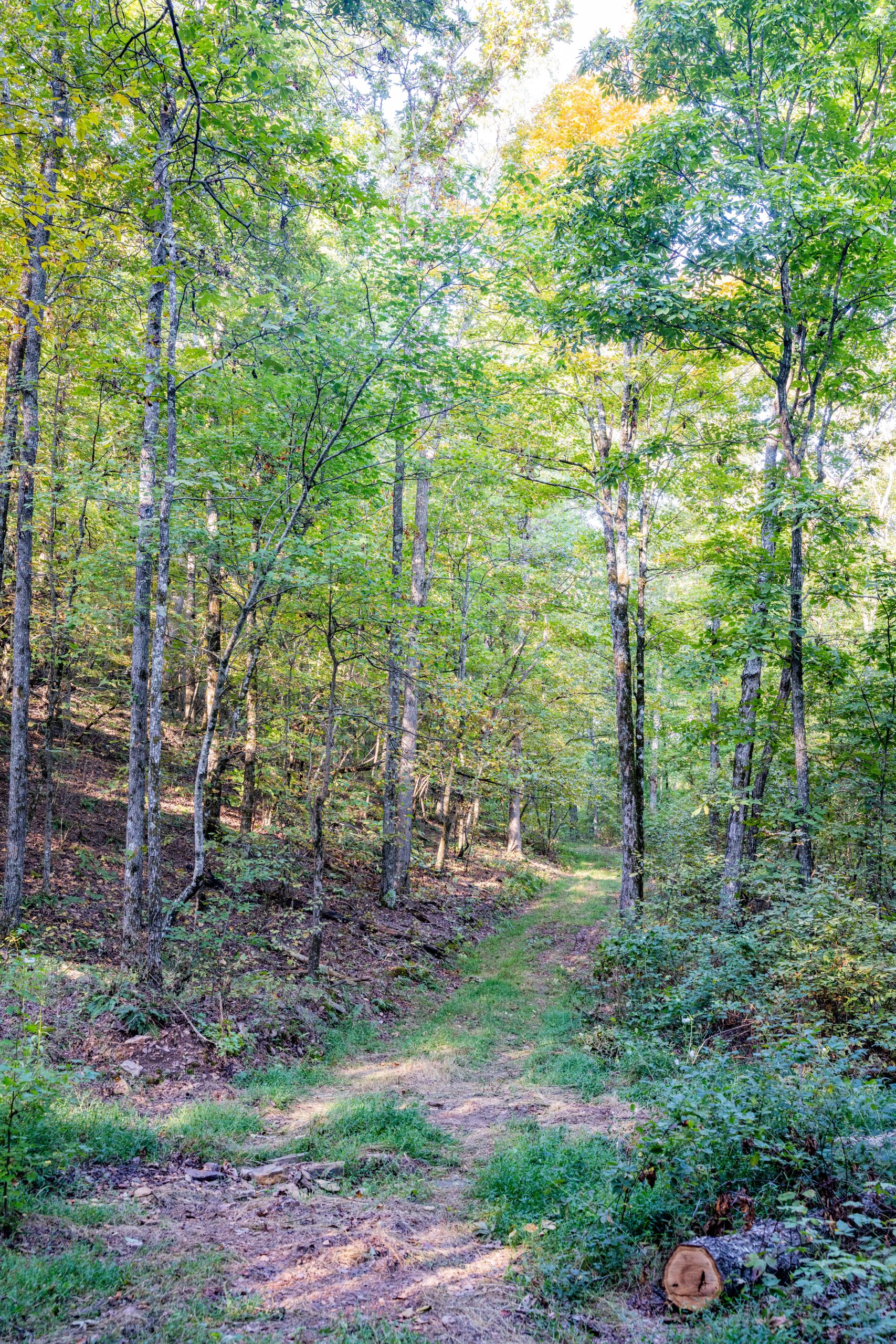 DSC05152