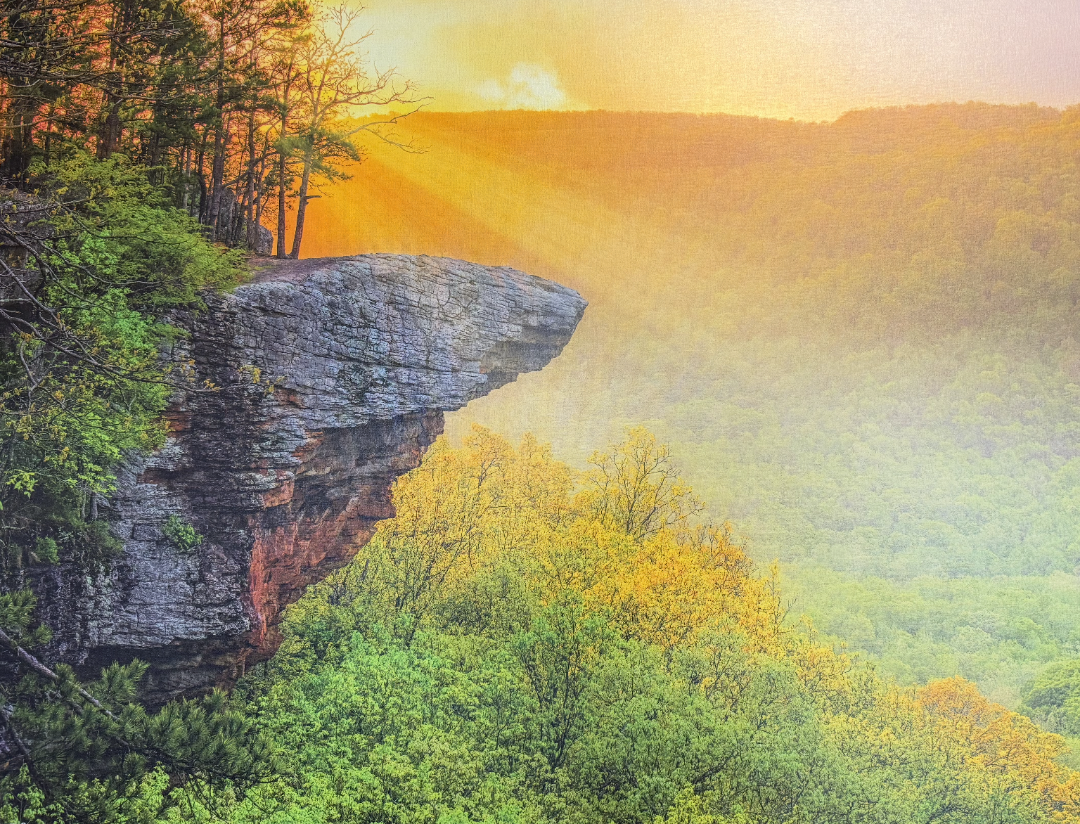 Screenshot 2025 10 13 at 11.24.24 AM Screenshot 2025 10 13 at 11.24.24 AM