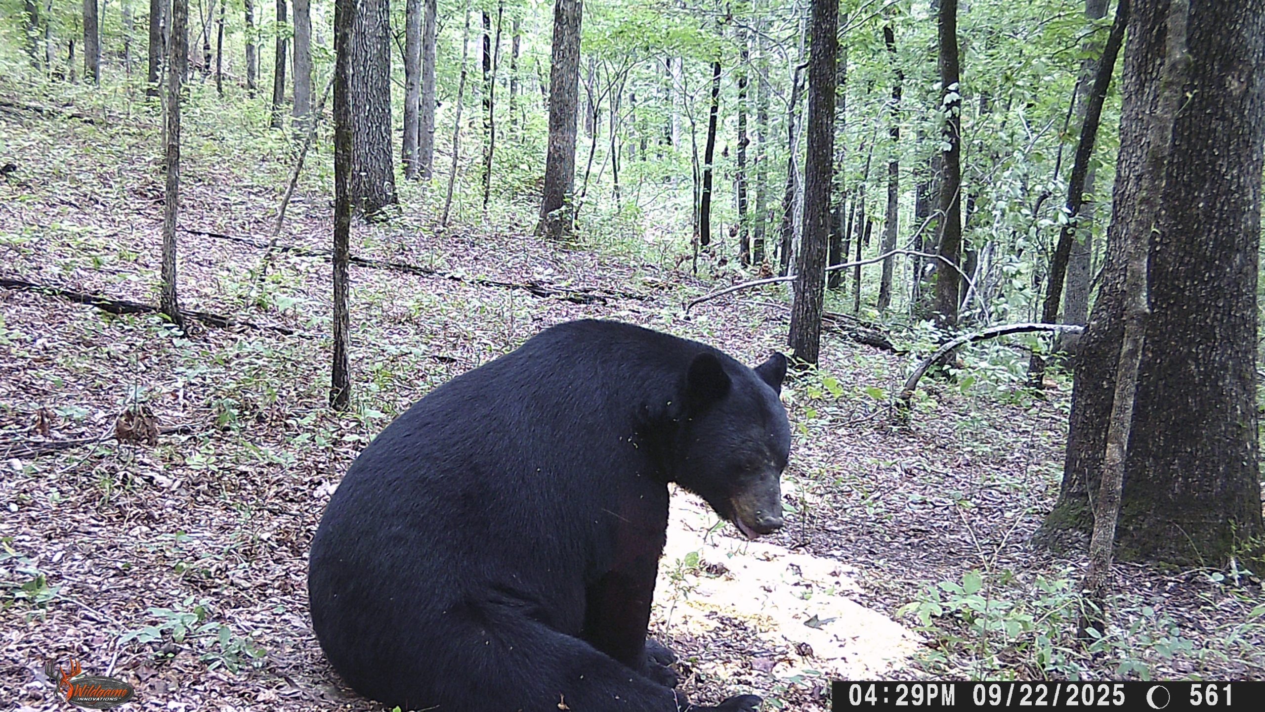 Digital Camera Digital Camera